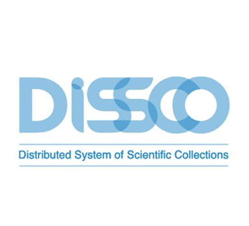 DiSSCo