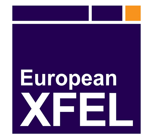 xfel